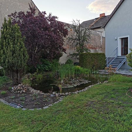Fewo Rohleder De Mit 130M2 Und Garten Fuer 6Pers Mit 2 Bad Котбус Екстериор снимка