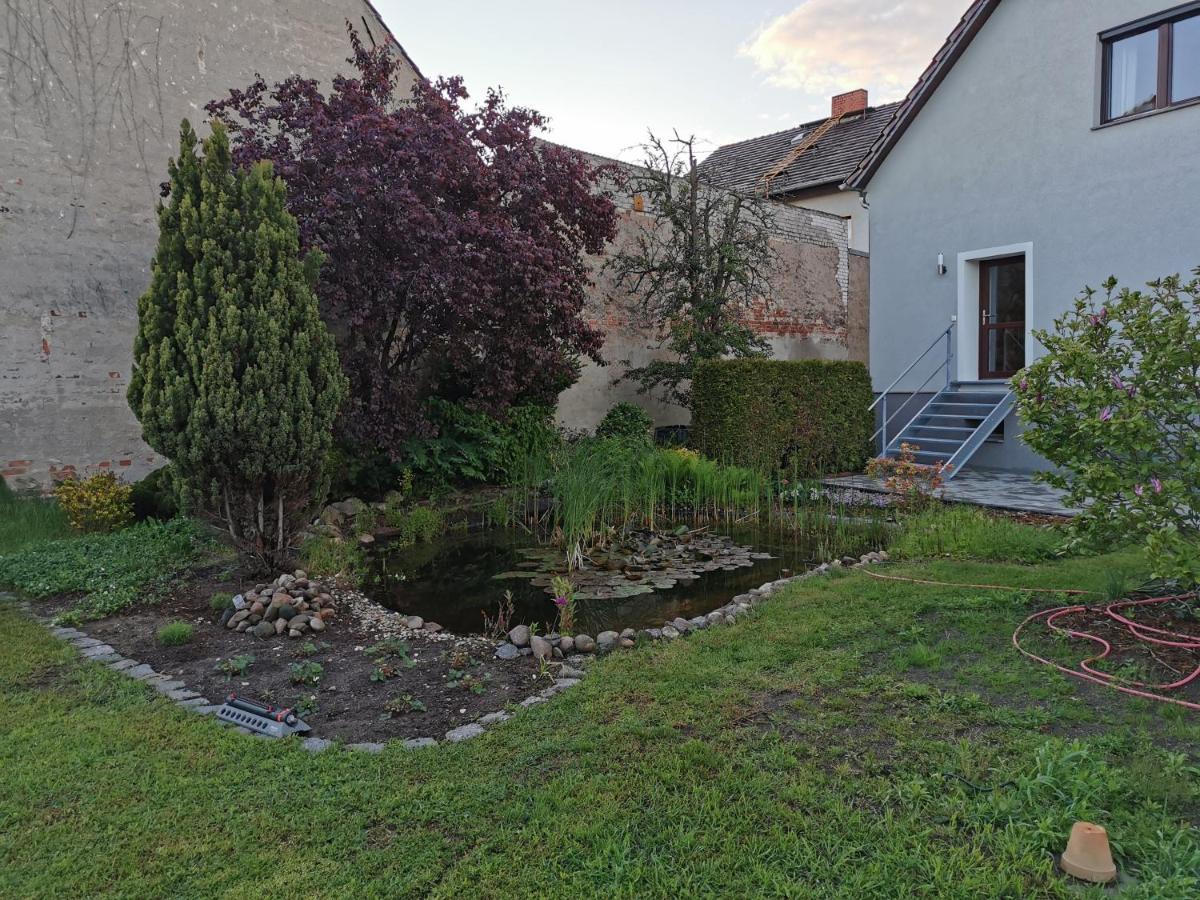 Fewo Rohleder De Mit 130M2 Und Garten Fuer 6Pers Mit 2 Bad Котбус Екстериор снимка